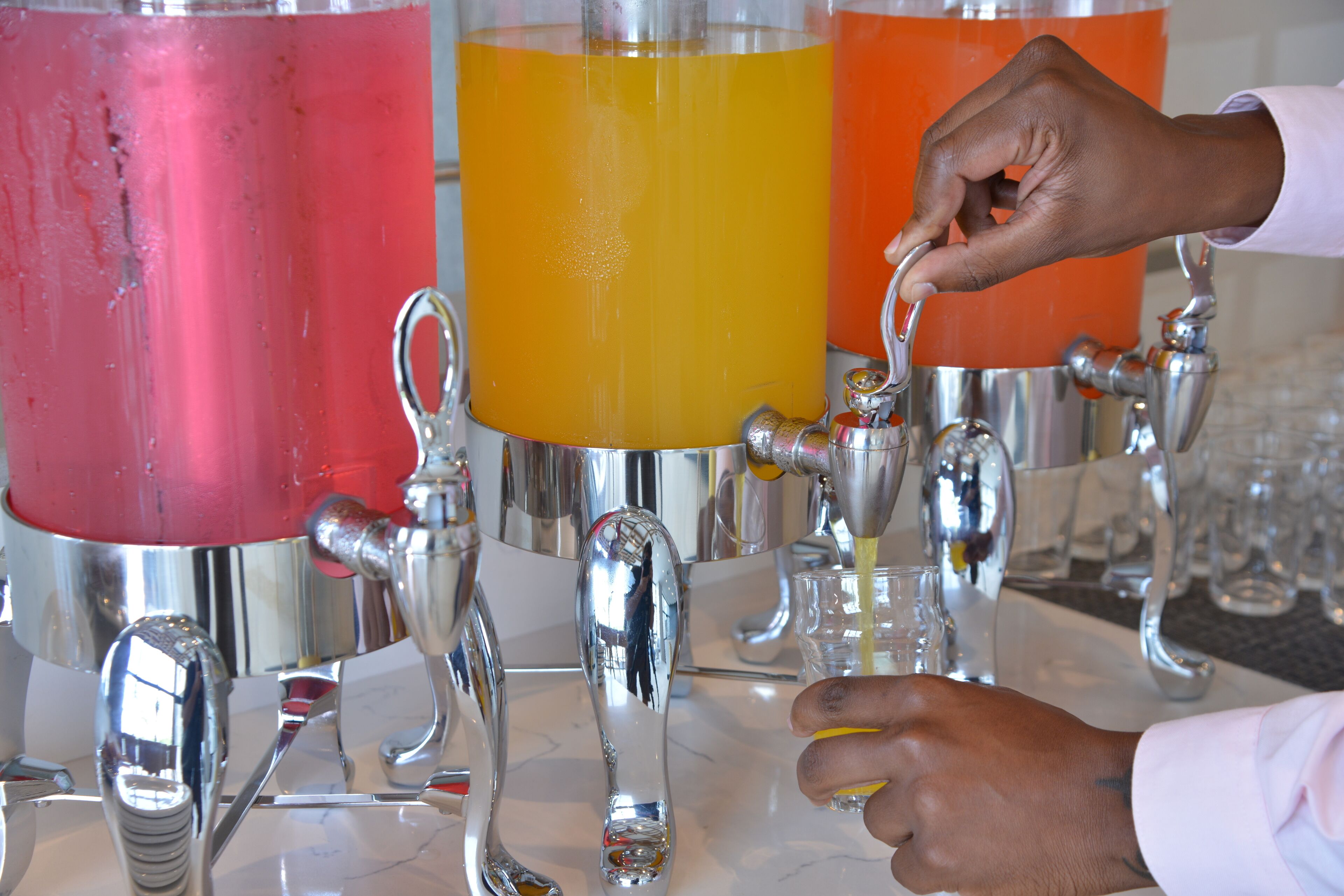 breakfast and lunch served, local and international cuisine