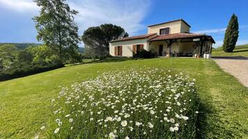 A house with a garden full of daisies, a large tree, and a clear blue sky.