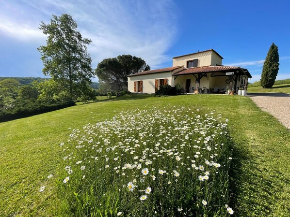 A house with a garden full of daisies, a large tree, and a clear blue sky. - Au Pre des Sources (Campagne)