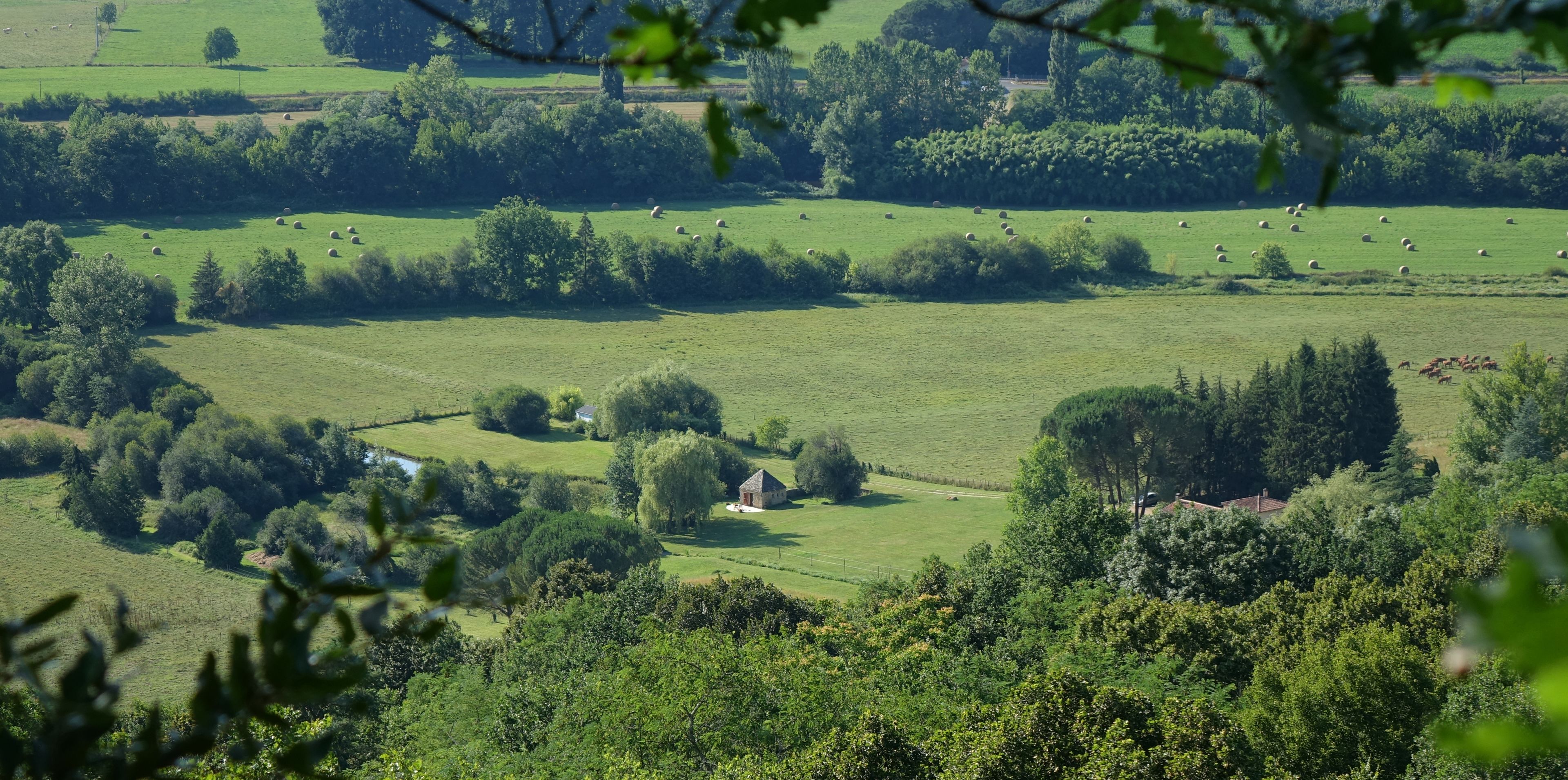 A rural landscape with a small house surrounded by fields and trees.