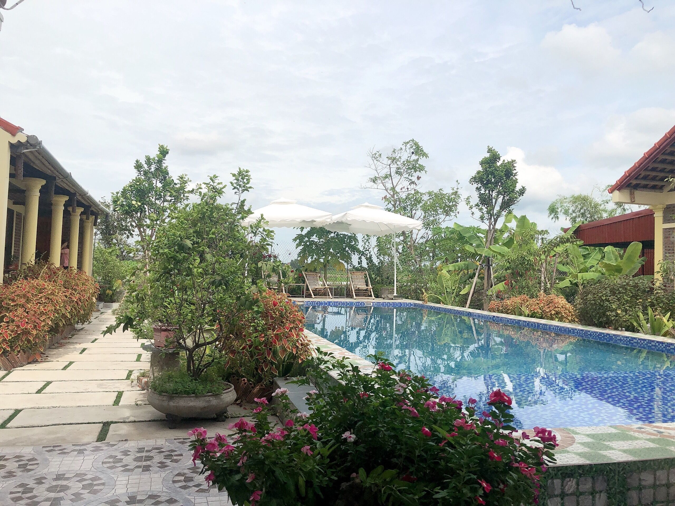 Taman
