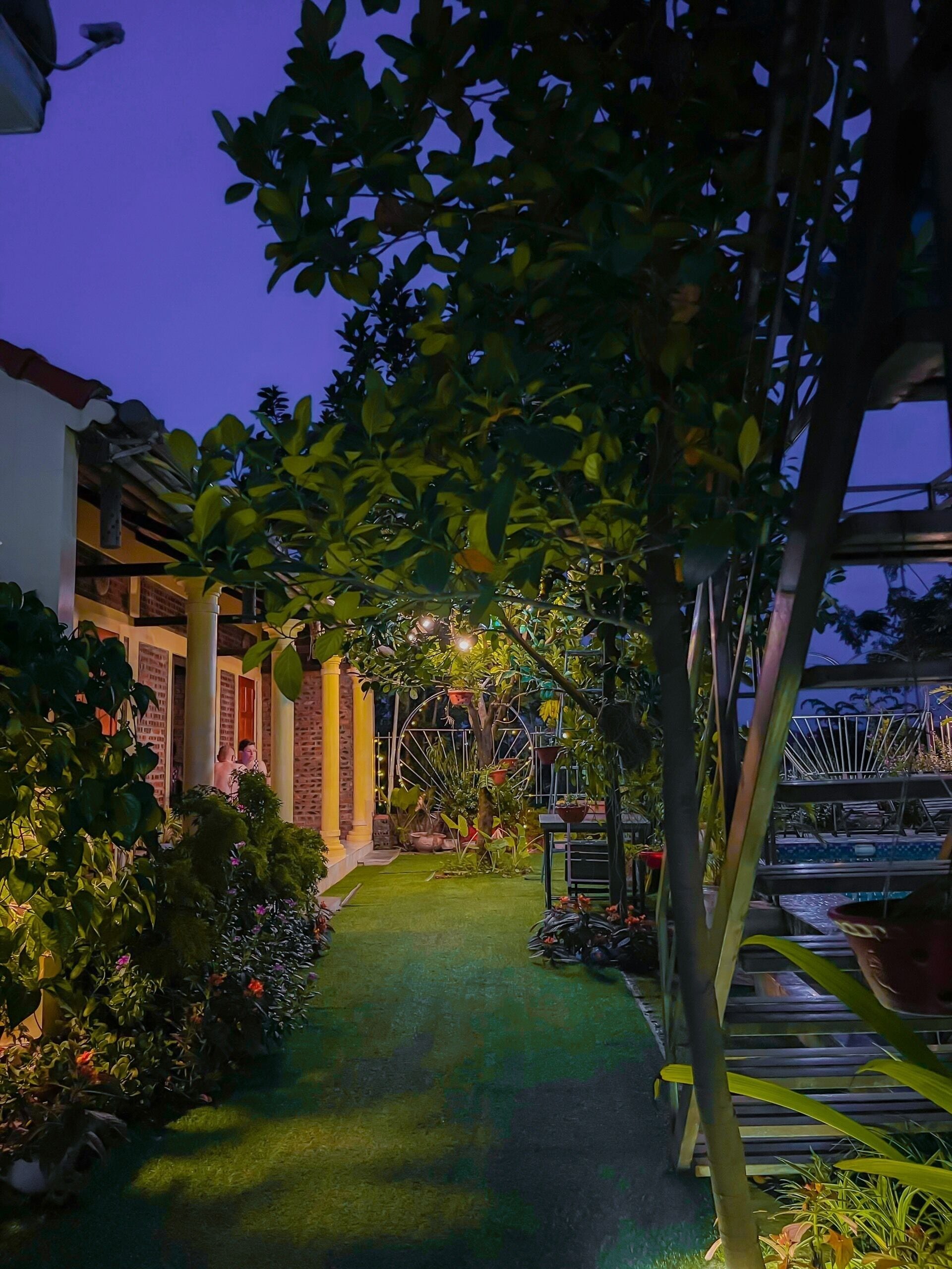 A garden pathway leading to a building with a brick facade, surrounded by lush greenery and potted plants.
