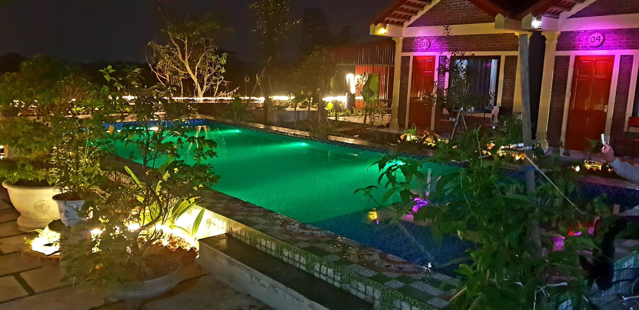 A swimming pool with a tiled edge, surrounded by potted plants and a building with illuminated doors.