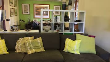 TV, fireplace, books