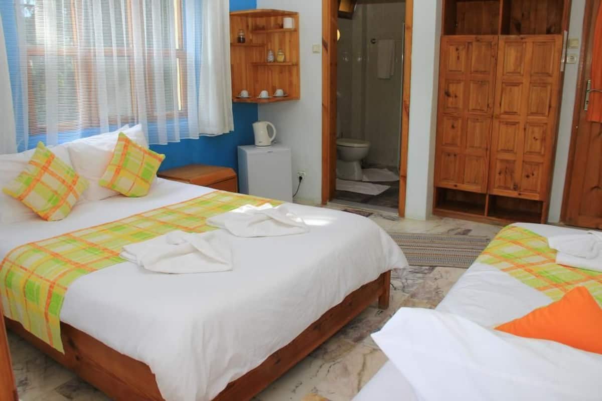 Une chambre avec deux lits, une armoire en bois, un petit coin cuisine et un espace douche.