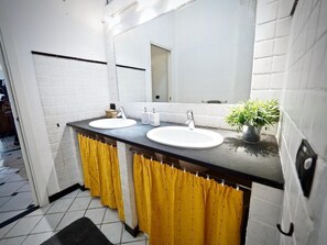 A bathroom with two sinks, a mirror, and a potted plant.