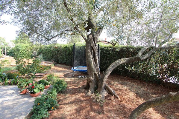 Overnatningsstedets område