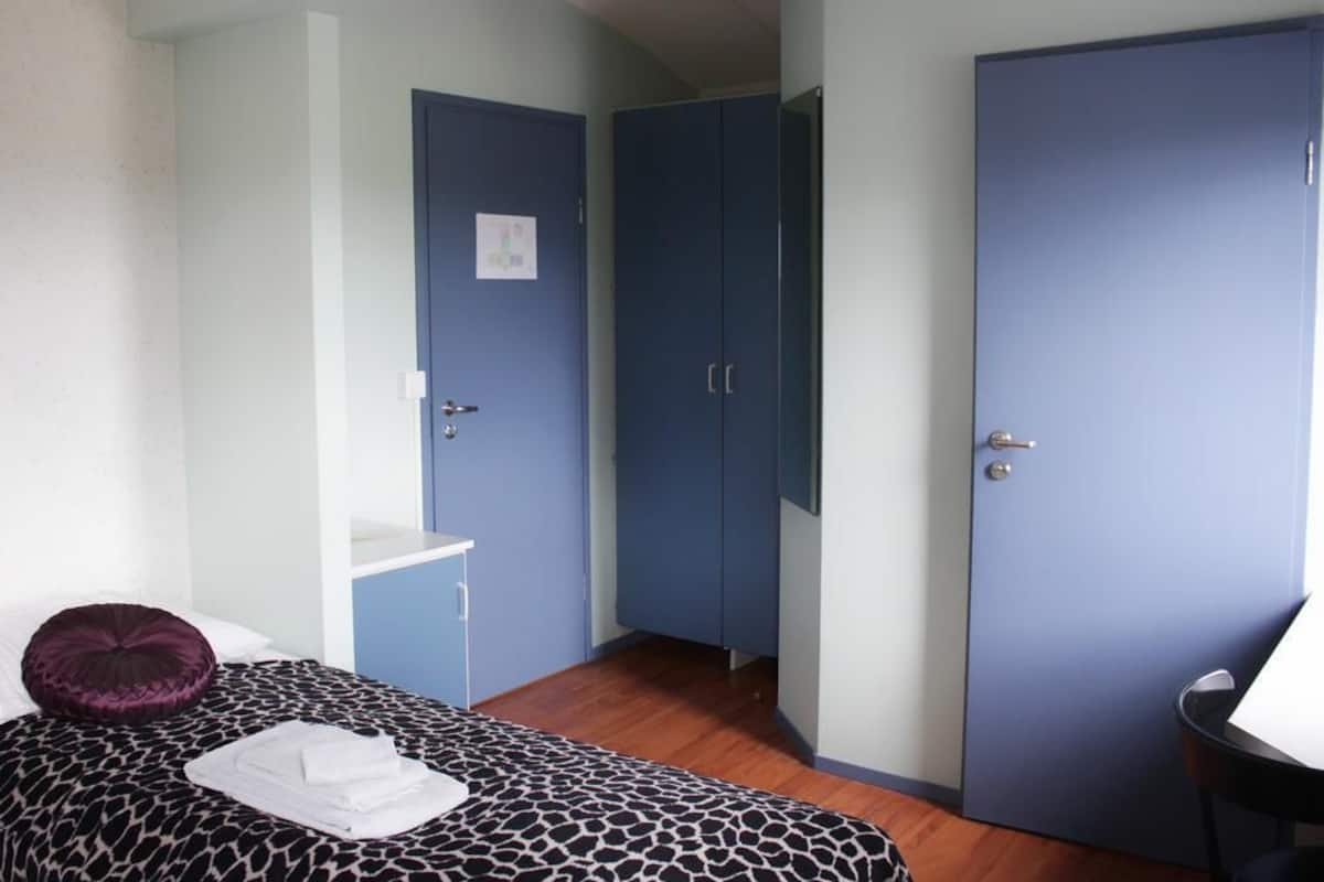 Un dormitorio con una cama, un escritorio y dos armarios.