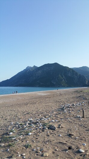 Vue sur la plage/l’océan