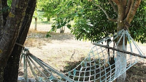 A hammock tied between trees in a natural setting. - Esralina Pansiyon (Kemer)