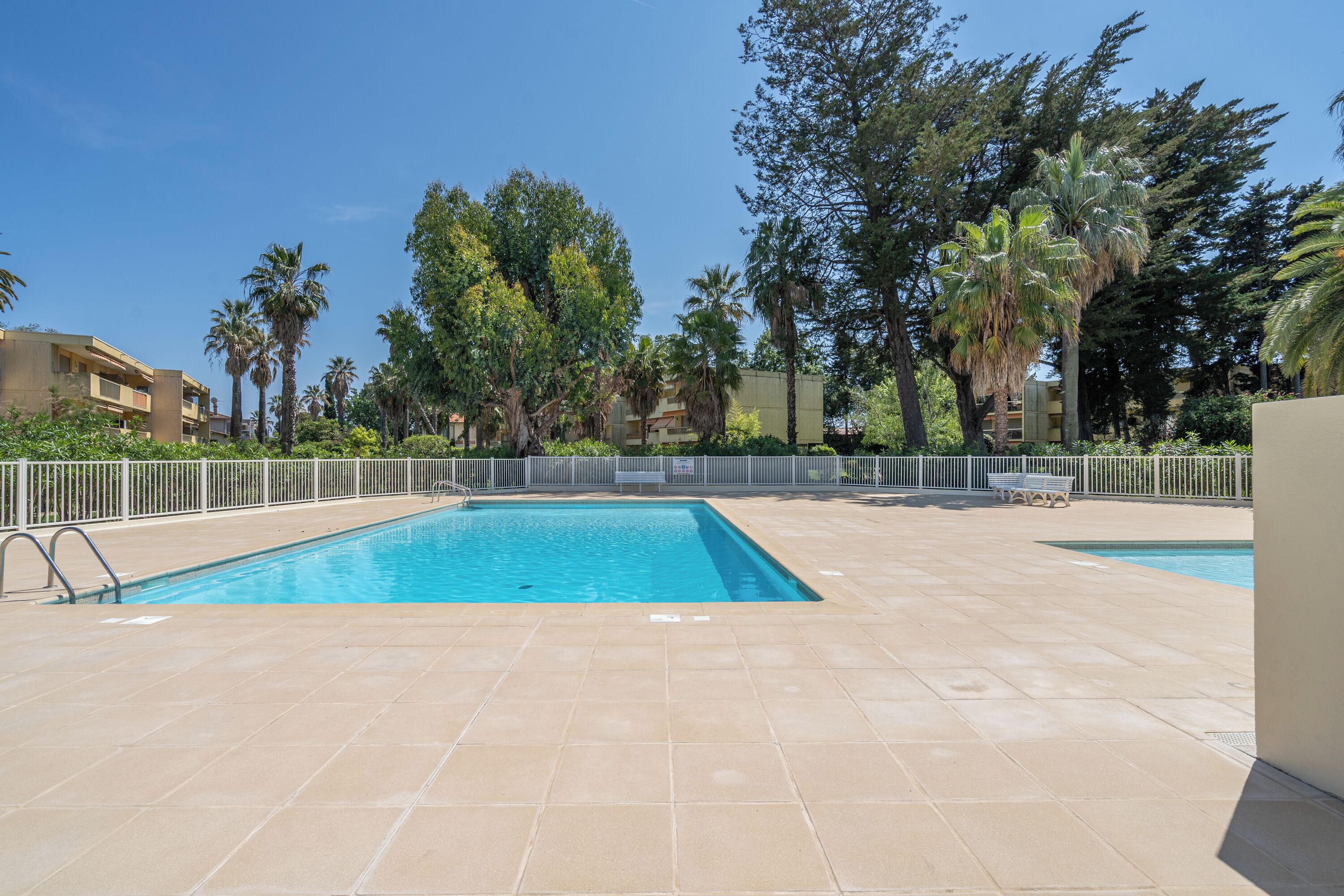 Piscina com deck ladrilhado, cercada por palmeiras e um muro.