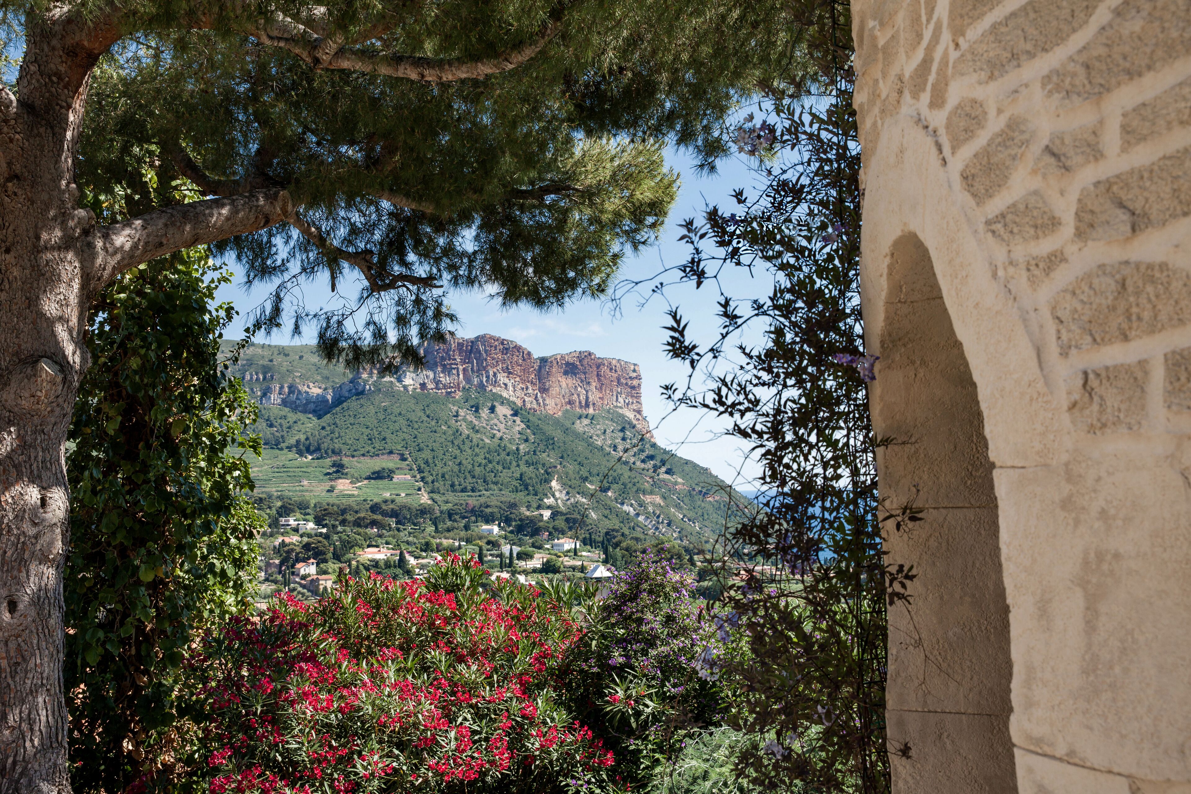 Vista desde la propiedad