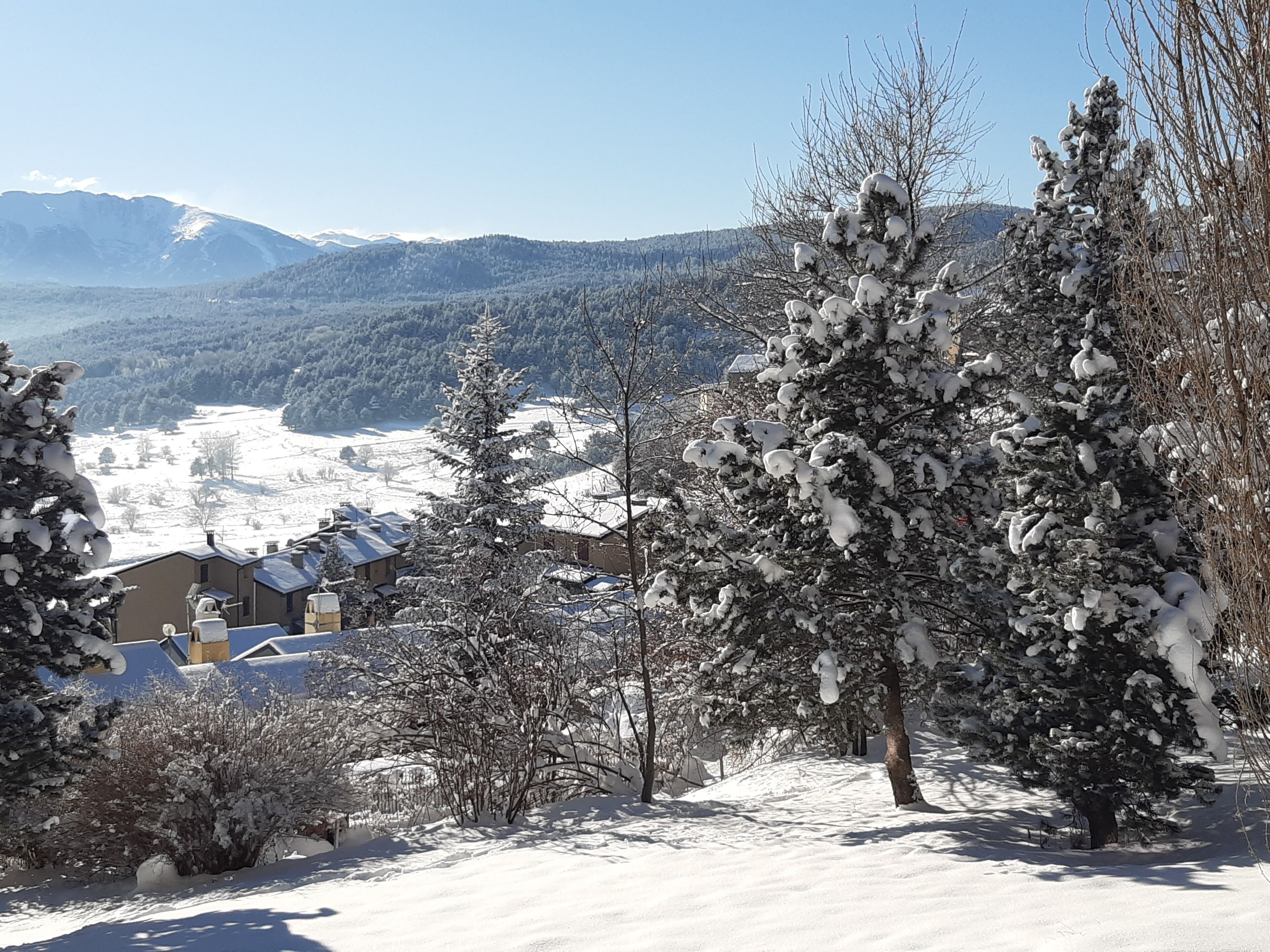 A snow-covered landscape with buildings and trees.