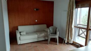 50-cm flat-screen TV with digital channels, TV