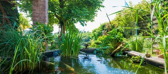 Urlaub Hamburg Altes Land