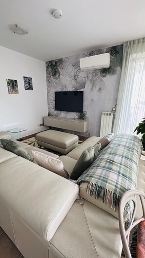 Smart TV, DVD player, books, stereo