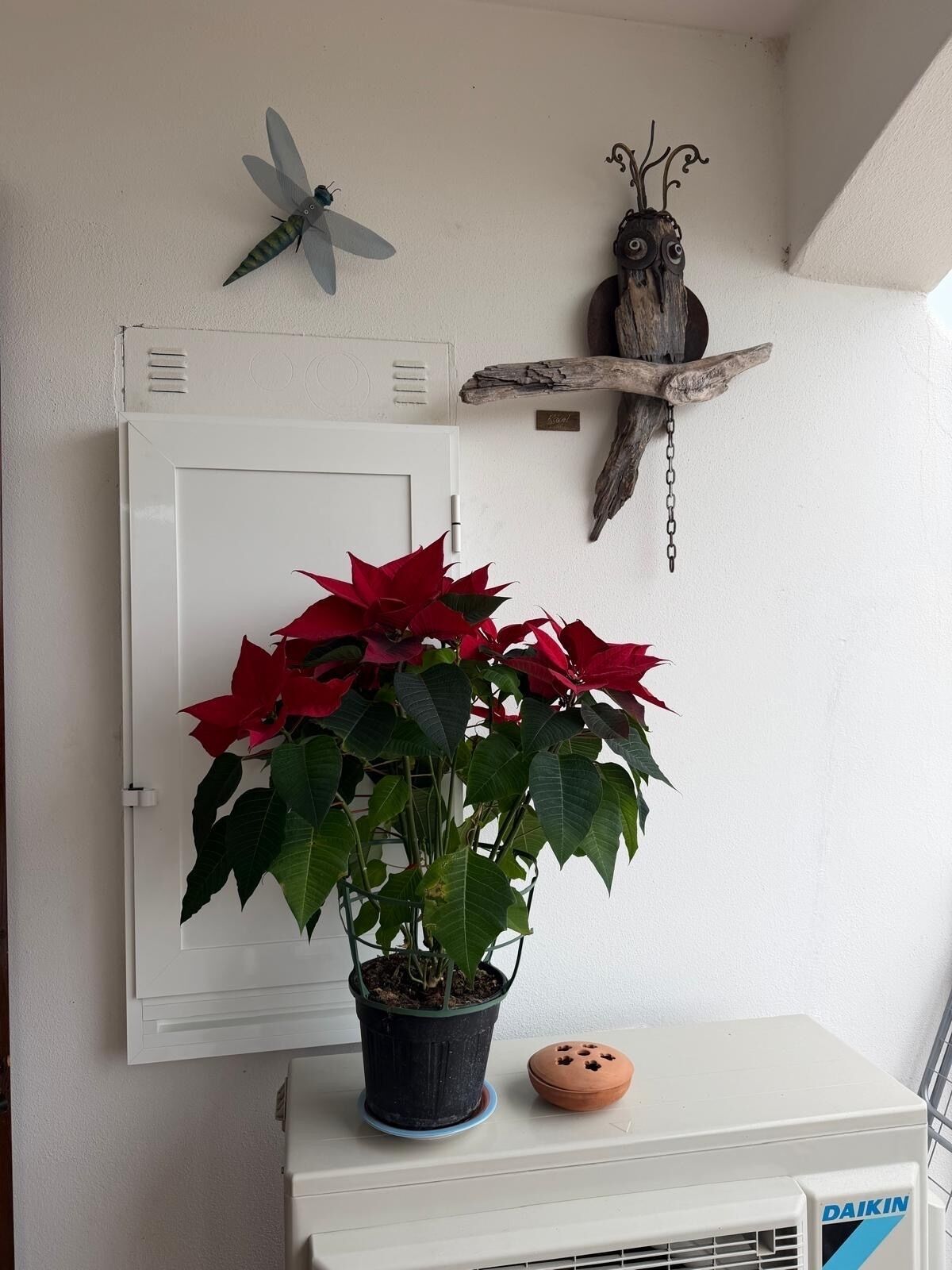 A potted plant with red flowers, a white wall-mounted heater, and a decorative wooden piece with a bird.