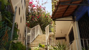 Une ruelle étroite avec un escalier menant à un immeuble. Des plantes et une clôture se trouvent sur le côté gauche.