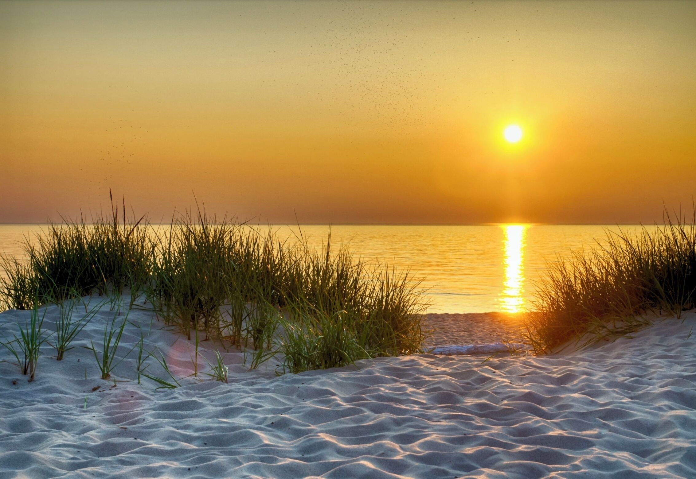 Beach