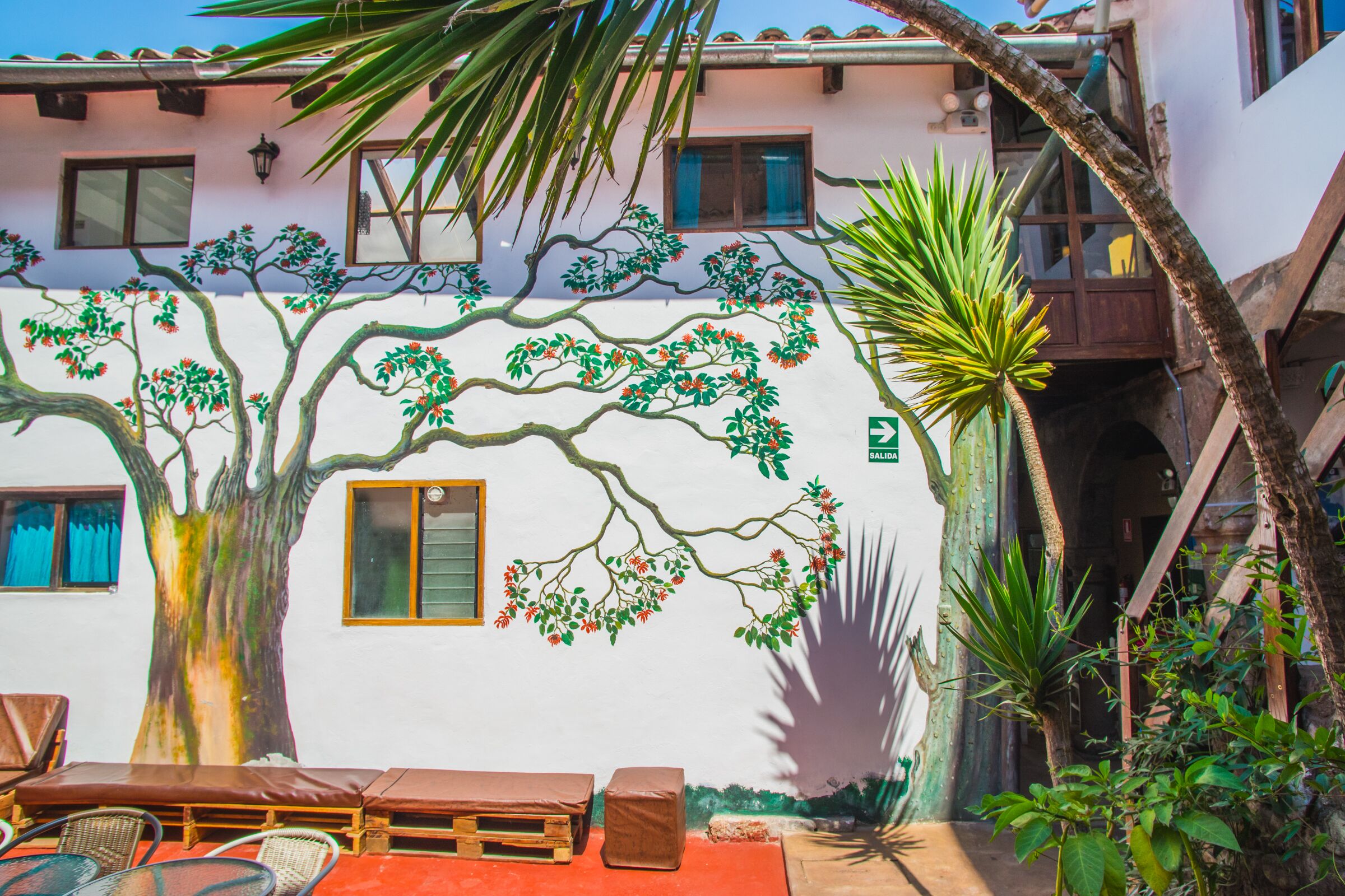 Photo - Tucan Hostel