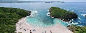 海灘