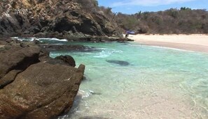海灘