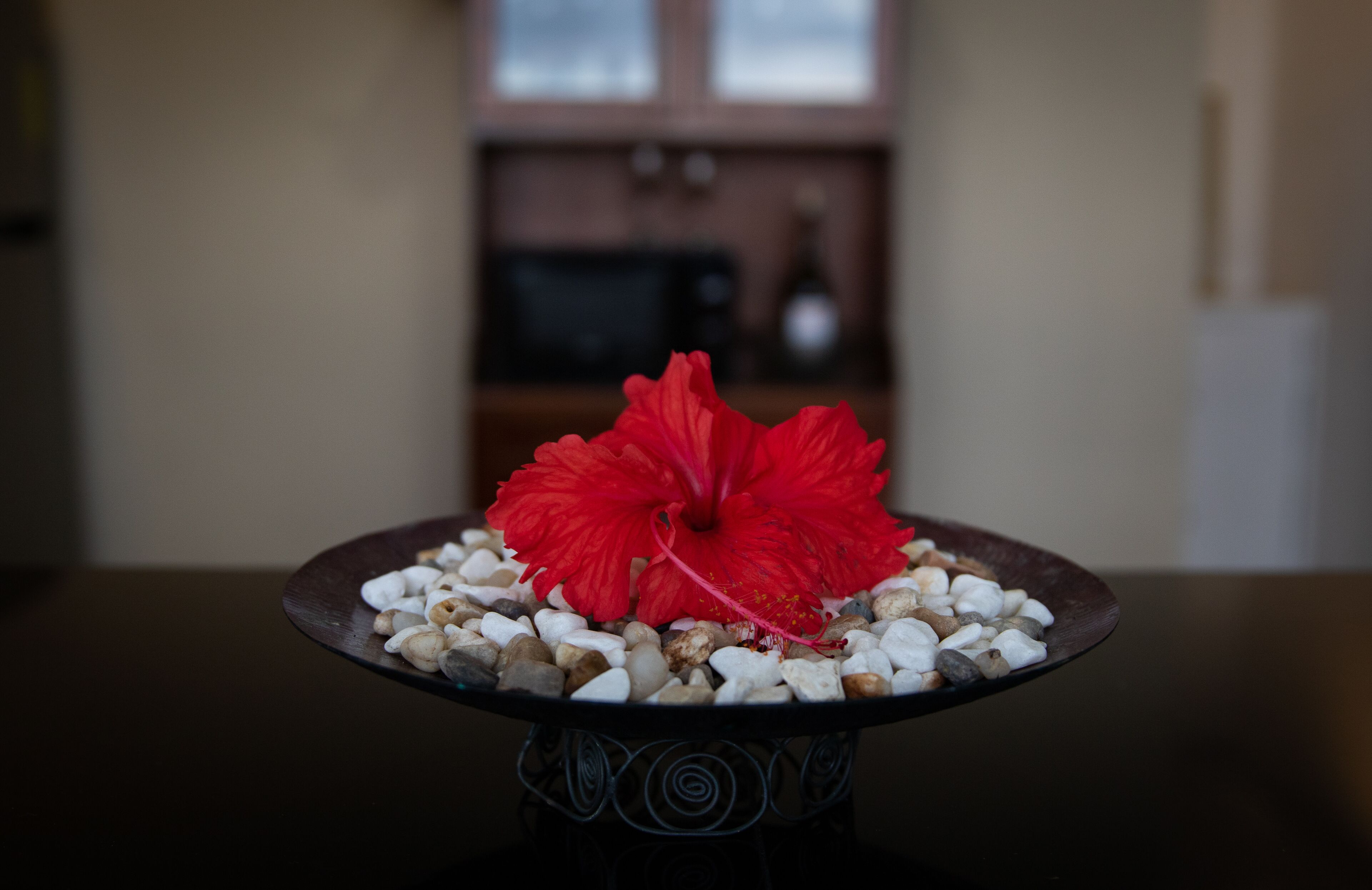Een tafel met een decoratieve schaal, waarin een rode bloem en witte kiezels liggen.