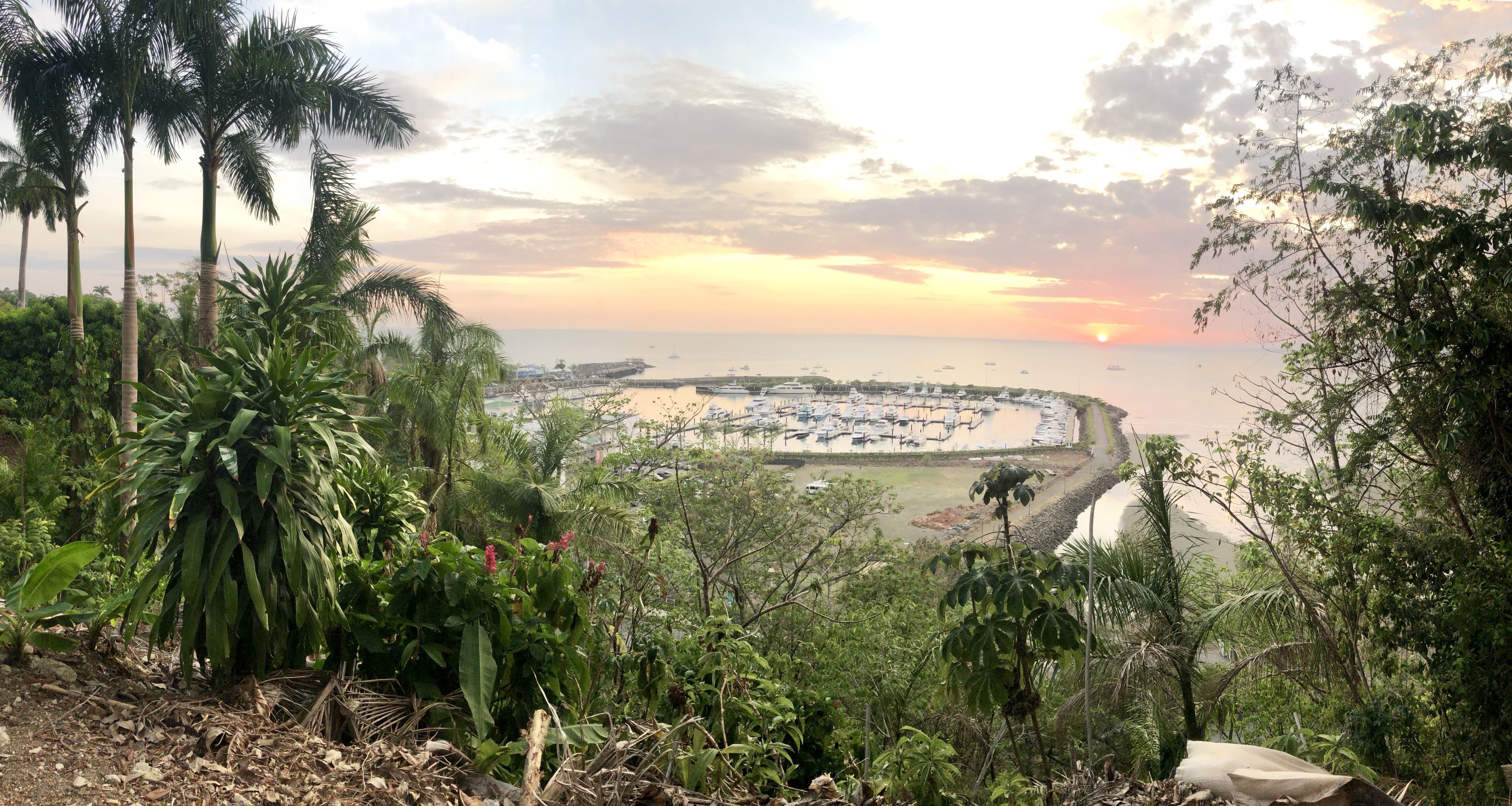 Une vue sur la côte, avec un port de plaisance, des palmiers et un coucher de soleil.