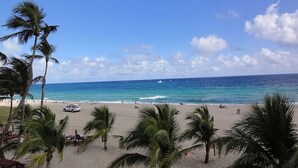 Une plage bordée de palmiers, un rivage sablonneux et l’océan.