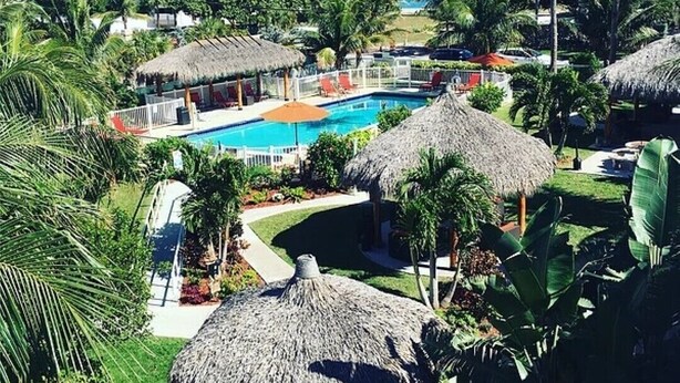 Un complexe hôtelier doté d’une piscine, de bâtiments à toits de chaume et de palmiers.