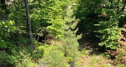 Private Waterfront Setting on Lake Michigan