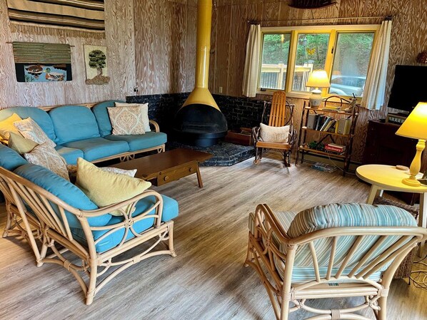 Téléviseur connecté, foyer, lecteur de DVD, livres