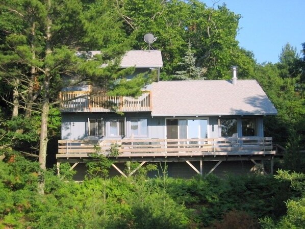 Een chalet met een terras, omgeven door dicht bos.
