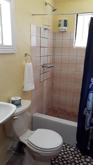 A bathroom with a toilet, sink, and shower. - Amazon Villas (Soufrière)