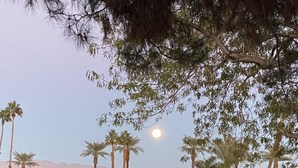 Un campo de golf con un estanque, palmeras y un edificio de techo rojo.