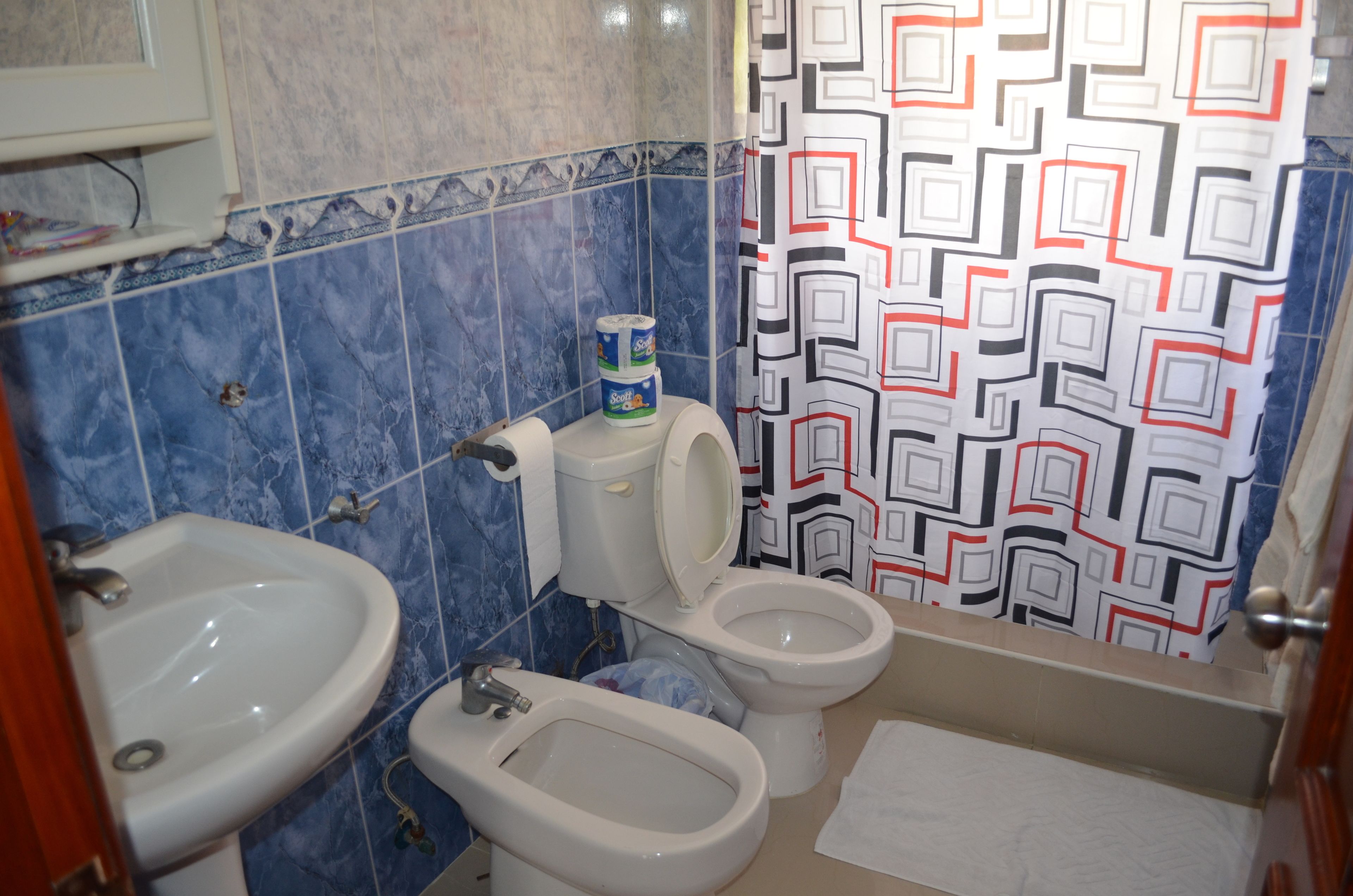 shower, free toiletries, hair dryer, bidet