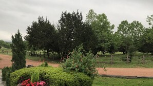 Un espacio exterior cercado con un sendero de tierra, rodeado de árboles verdes y una variedad de arbustos y flores.