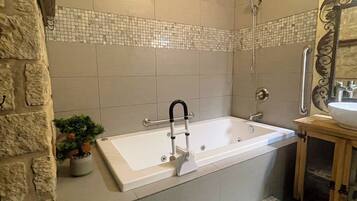 Combined shower/bathtub, jetted bath, hair dryer, bidet