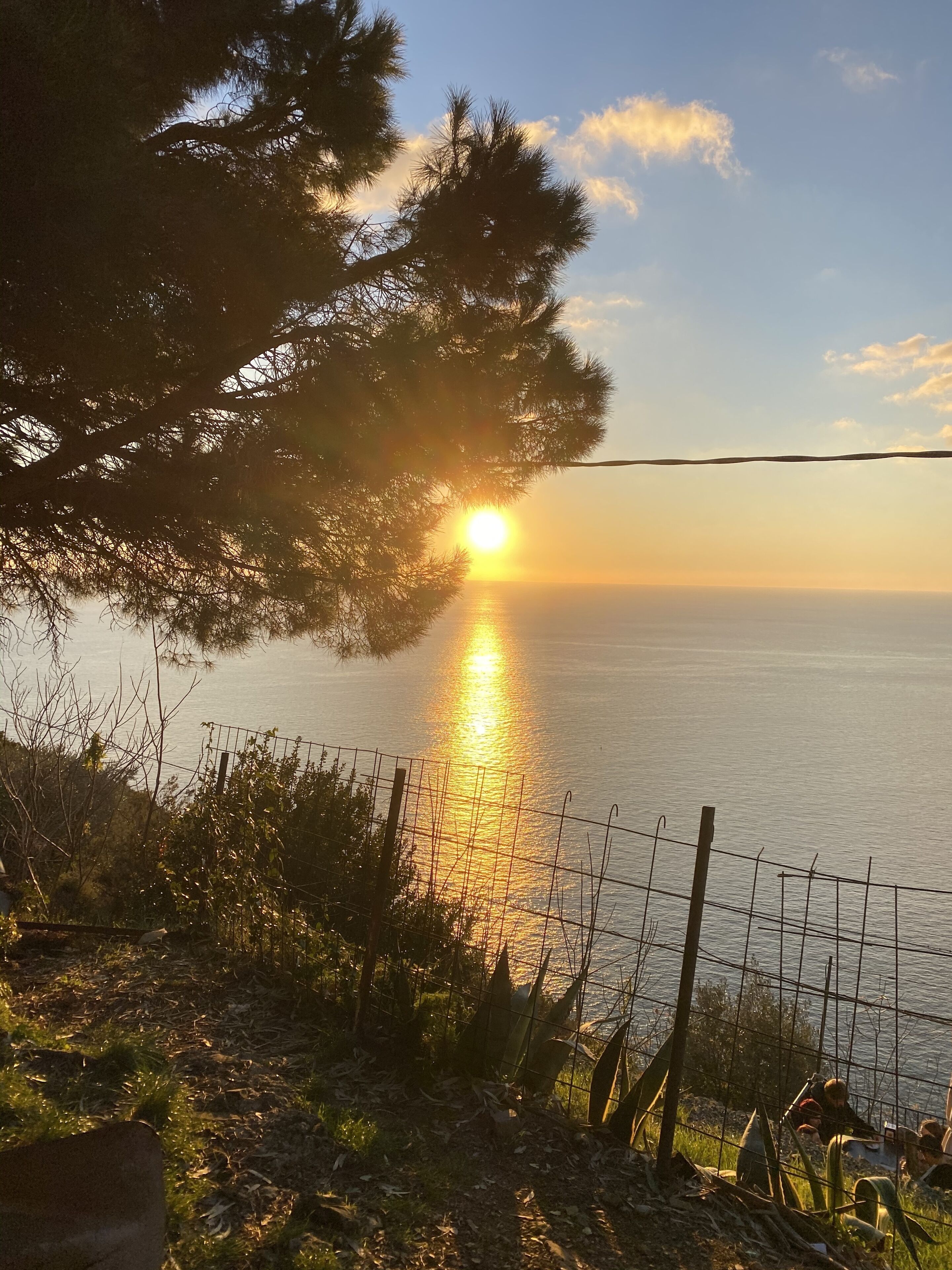 Photo - Vicolocorto Affittacamere