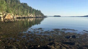 Un lac paisible, bordé d’une rive rocheuse et entouré d’une forêt dense d’un côté.