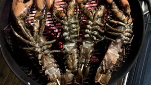 Un barbecue sur lequel plusieurs homards sont en train de cuire.