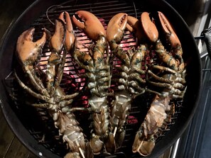 Food and drink - Secluded And Rustic Island Cabin On The Bold And Rocky Penobscot Bay Coast... (Islesboro)