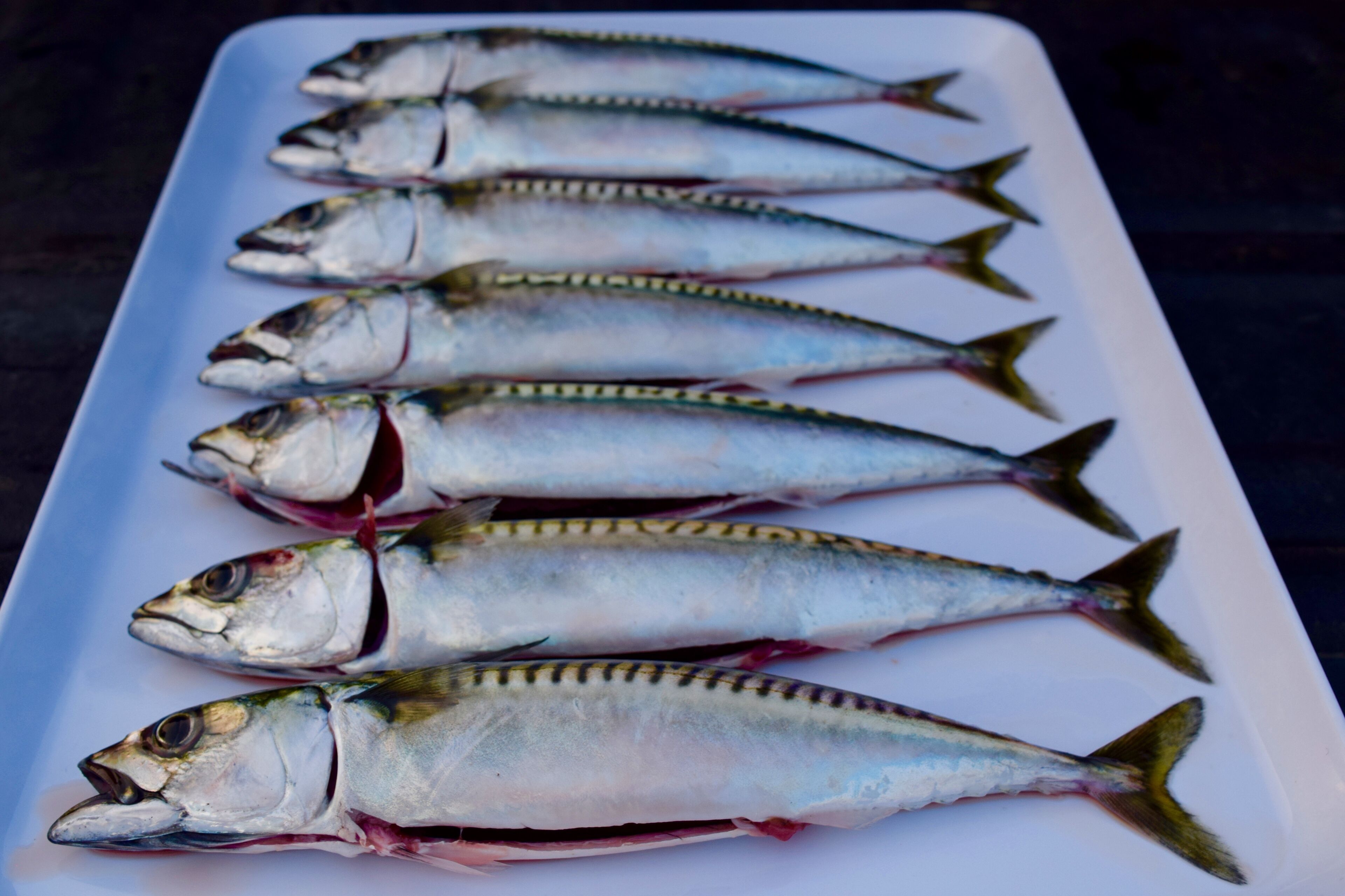 Une assiette rectangulaire blanche sur laquelle sont alignés cinq poissons entiers.