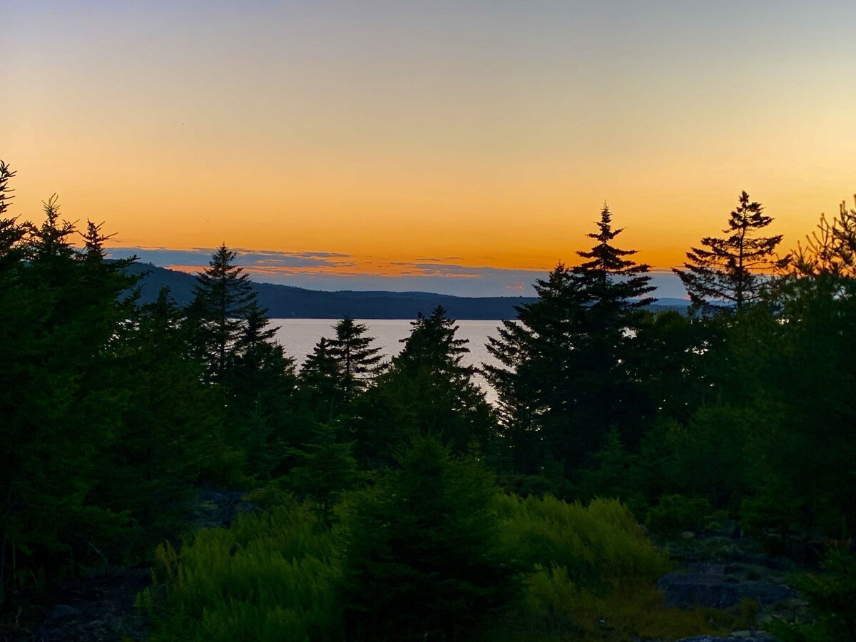 Imagen de perfil del propietario o de la propietaria