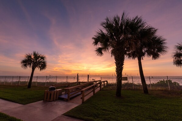Walk along the serene beachside path, lined with palm trees and benches, and enjoy the tranquil atmosphere.