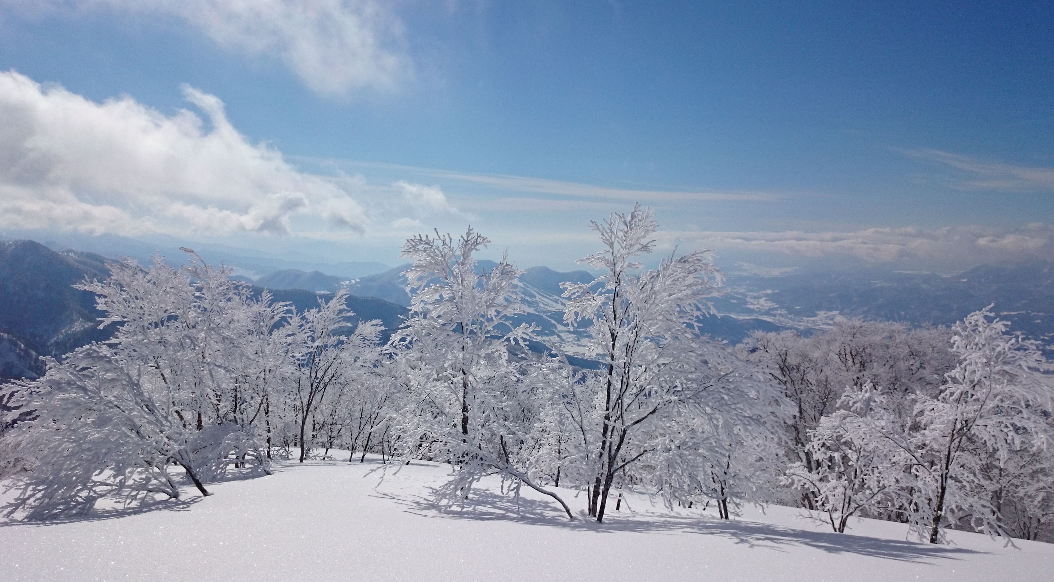 A snow-covered landscape with trees and distant mountains under a clear sky.