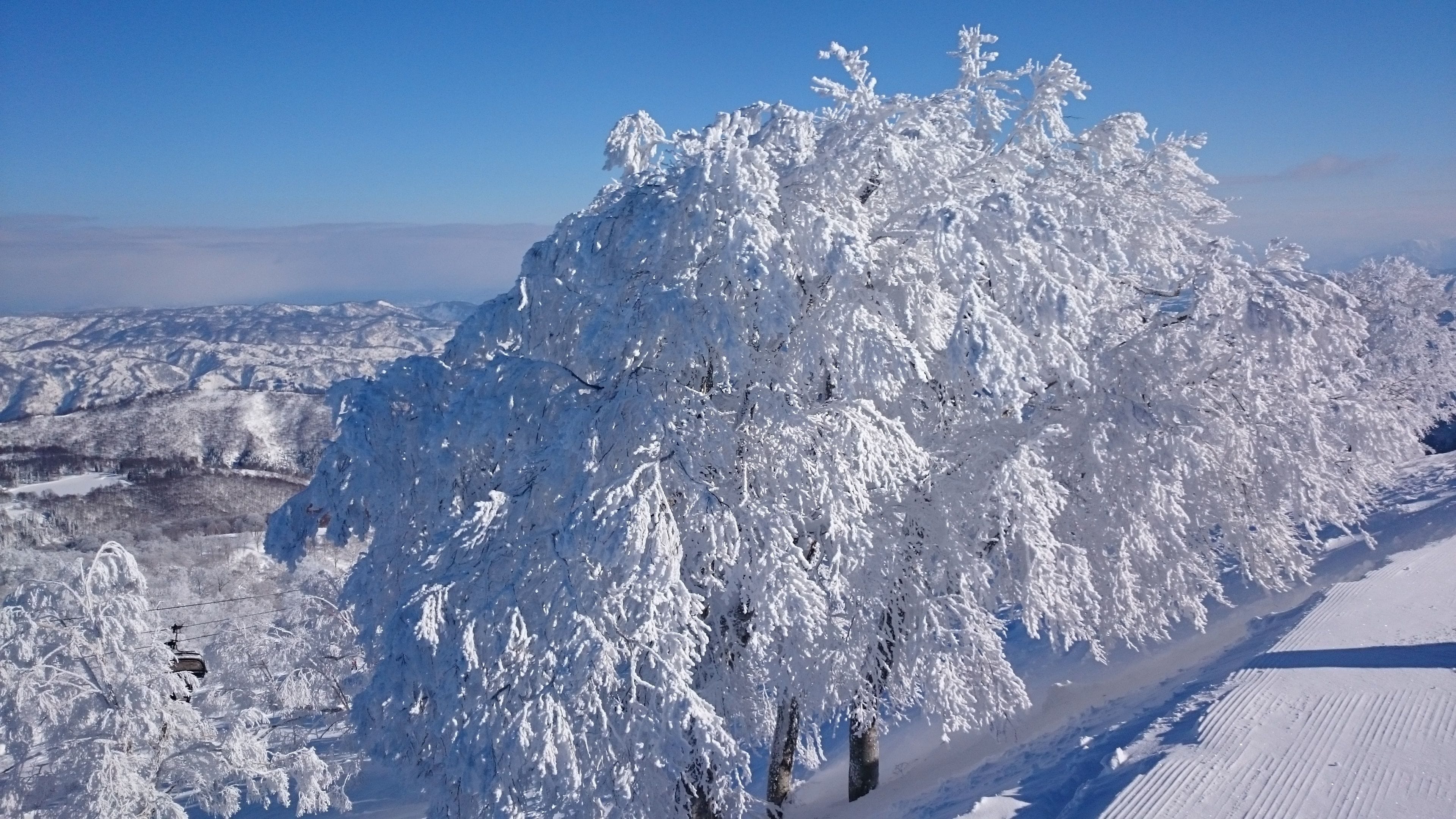 A snow-covered landscape with a tree in the foreground and a clear blue sky.