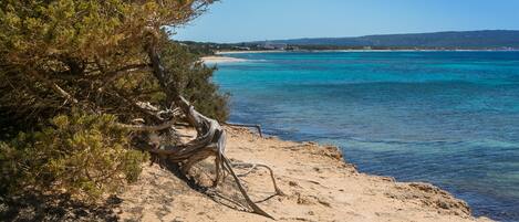 Accommodatie ligt op het strand