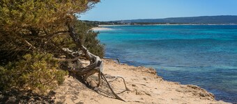 Villa Sa Rondalla - Migjorn