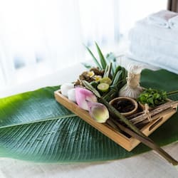 Liệu pháp ấn huyệt đạo, 2 phòng trị liệu, dịch vụ massage
